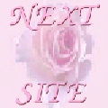 Next Petals Site