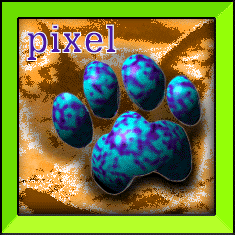 Pixel