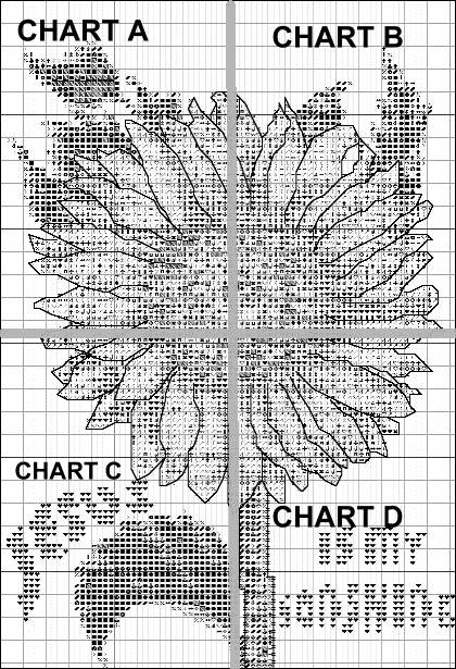 Click in each of 4 sections