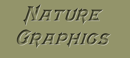 nature banner