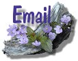 email me