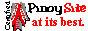 Pinoysite logo