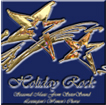 Cover of Holiday Rock CD