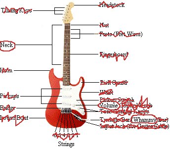 The Anatomy of the Guitar