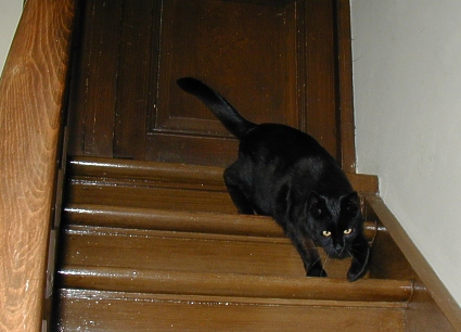 Stairways to organ loft