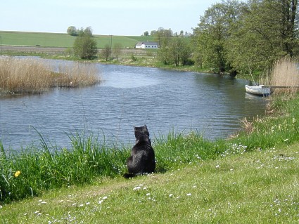 By the river