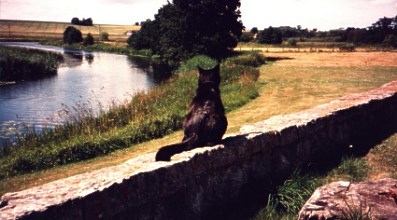 Sitting on the wall