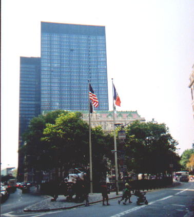 Stock Market Bull in Late Auguist, 2003.