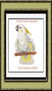 Hard work award 2003; De Abeel