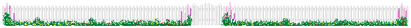 Picket Fence Image