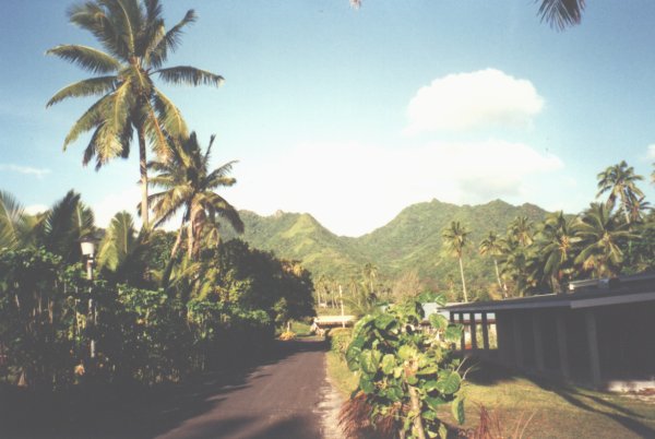 raro1.jpg (46464 bytes)