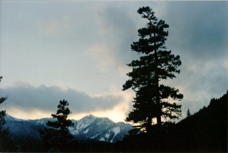 Hurricane Ridge, WA.