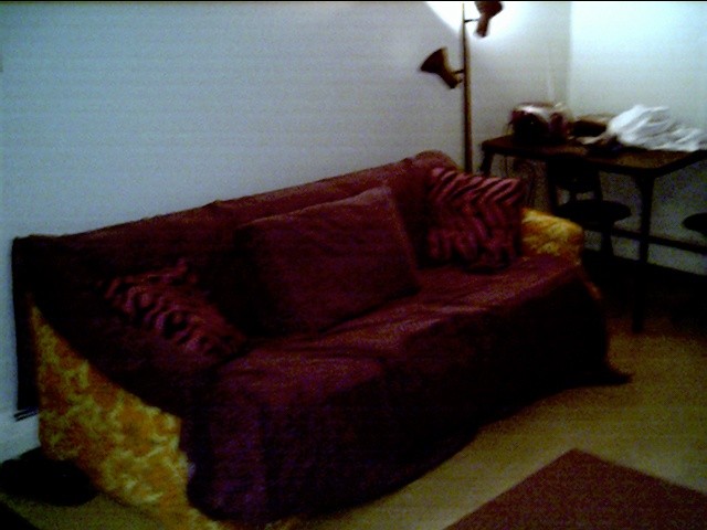 Partially disguised couch