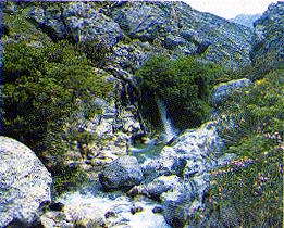 Samaria Gorge Waterfall