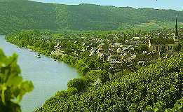 The beautiful Mosel