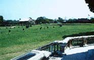 Hue meadow land