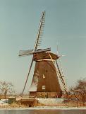 Windmill