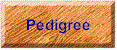 pedigree.gif (3996 bytes)