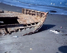 Photo of rotted boat by a shoreline