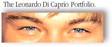 leonardo di caprio portfolio