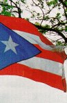 Bandera de Puerto Rico