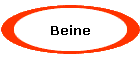 Beine