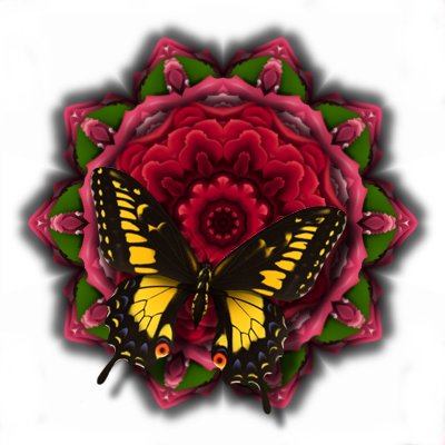 butterflyrose