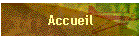 Accueil