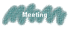 Meeting