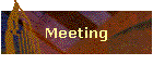 Meeting