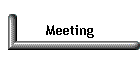 Meeting