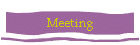 Meeting