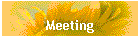 Meeting