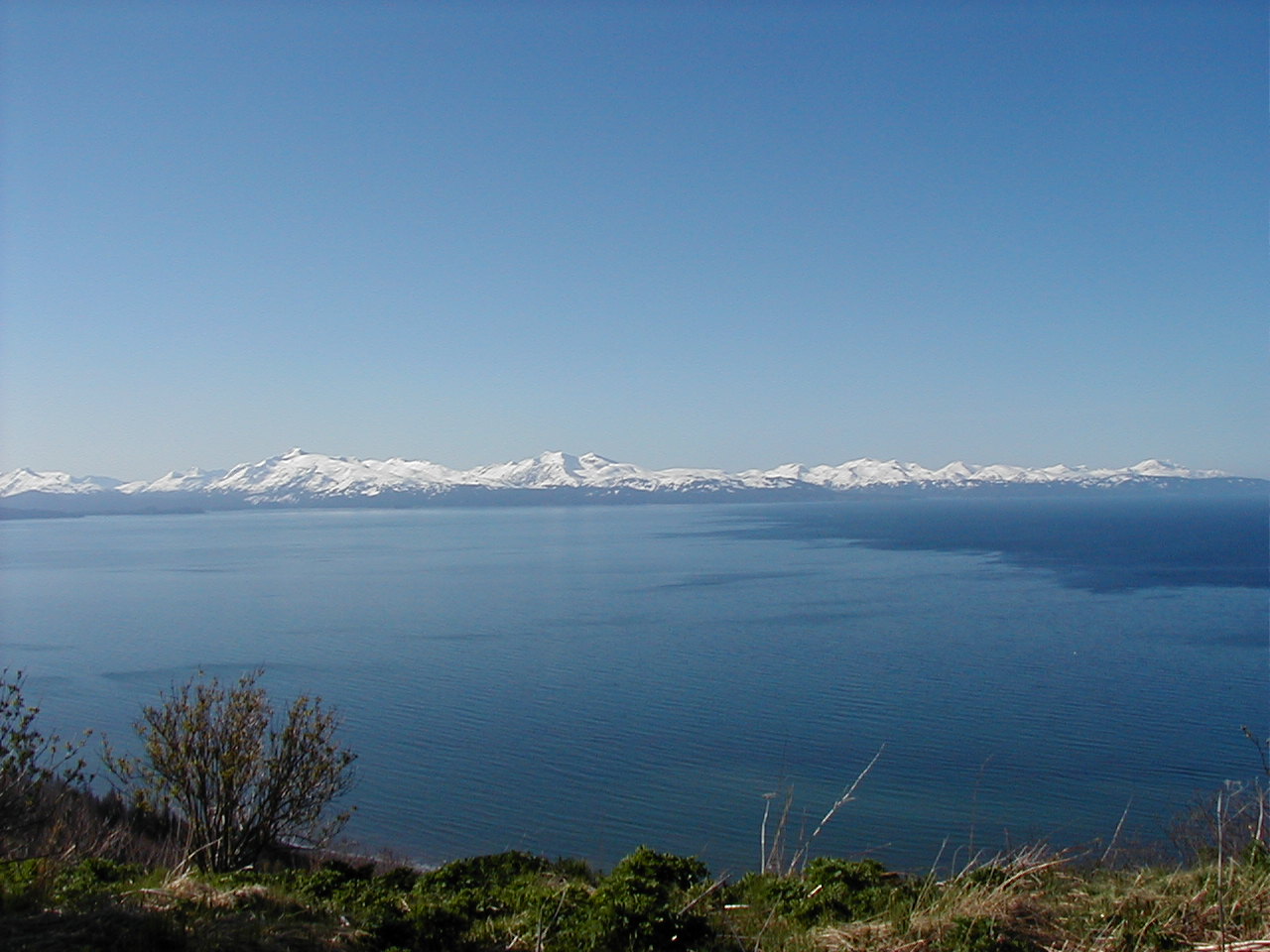 Homer Alaska