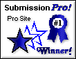 Pro award