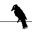 Crow