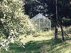 Greenhouse