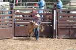 steer wrestling 2003 p4