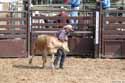 steer wrestling 2003 p5