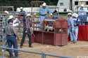 calf roping 2003 p1