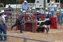 calf roping 2003 p2