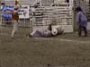 steer wrestling 2003 p9