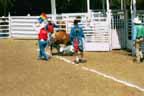 steer wrestling p22