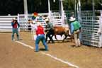 steer wrestling p21