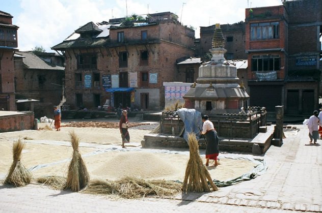 winnowing grain