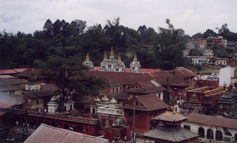 Pashipathinath rooftops