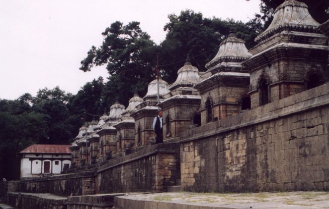 Rows of Lingams