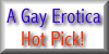 gay erotica