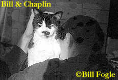 bill_and_chaplin-1bill_fogle.jpg (6265 bytes)