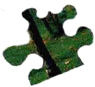 Puzzle Piece